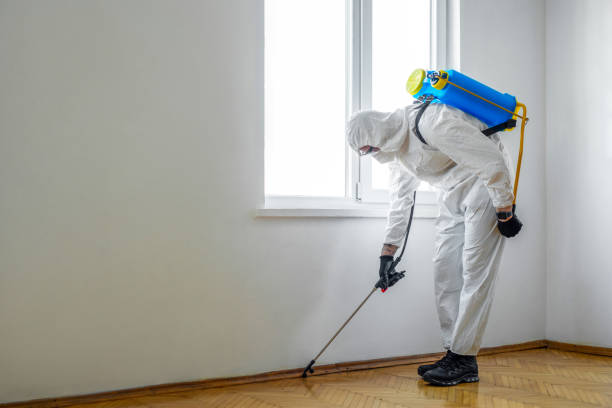 Real Estate Pest Inspections in Advance, MO